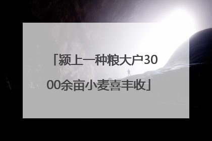 颍上一种粮大户3000余亩小麦喜丰收