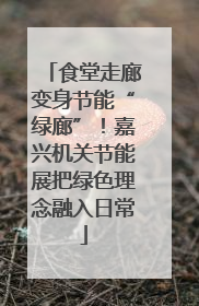 食堂走廊变身节能“绿廊”！嘉兴机关节能展把绿色理念融入日常