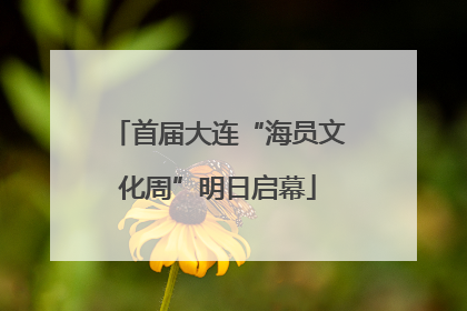 首届大连“海员文化周”明日启幕