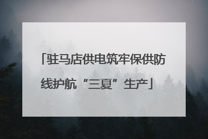 驻马店供电筑牢保供防线护航“三夏”生产