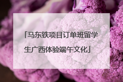 马东铁项目订单班留学生广西体验端午文化