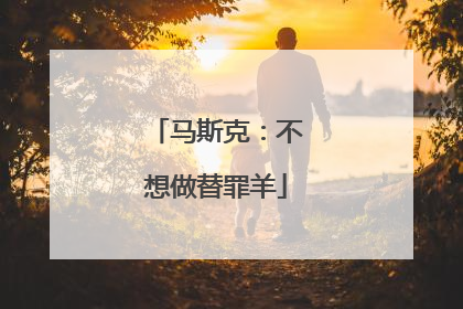 马斯克：不想做替罪羊