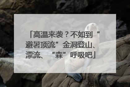 高温来袭？不如到“避暑顶流”金洞登山、漂流、“森”呼吸吧