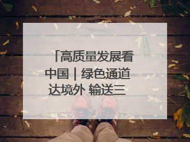 高质量发展看中国｜绿色通道达境外 输送三江“一口鲜”