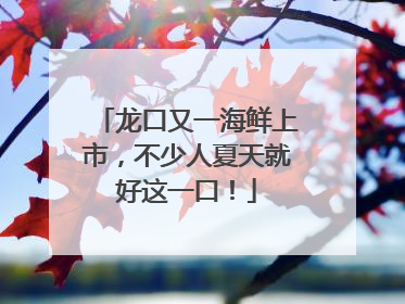 龙口又一海鲜上市，不少人夏天就好这一口！
