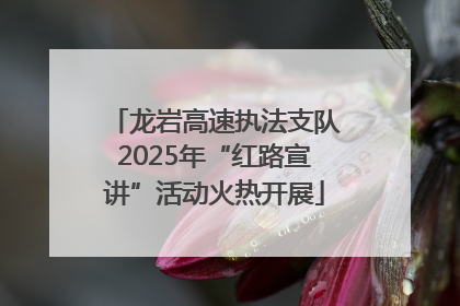 龙岩高速执法支队2025年“红路宣讲”活动火热开展