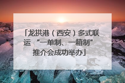 龙拱港（西安）多式联运 “一单制、一箱制” 推介会成功举办