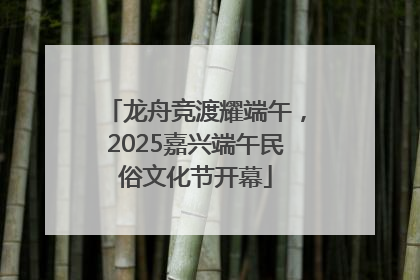 龙舟竞渡耀端午，2025嘉兴端午民俗文化节开幕