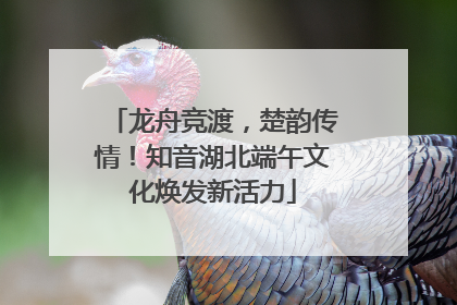 龙舟竞渡，楚韵传情！知音湖北端午文化焕发新活力