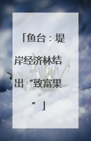 鱼台：堤岸经济林结出“致富果”