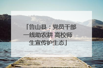 鲁山县：党员干部一线助农耕 高校师生宣传护生态