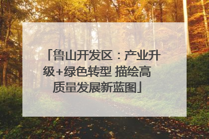 鲁山开发区：产业升级+绿色转型 描绘高质量发展新蓝图