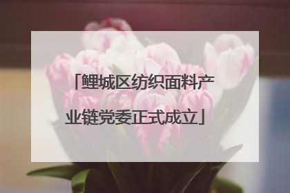 鲤城区纺织面料产业链党委正式成立