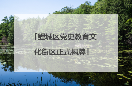 鲤城区党史教育文化街区正式揭牌