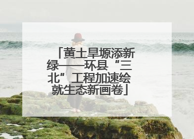 黄土旱塬添新绿——环县“三北”工程加速绘就生态新画卷