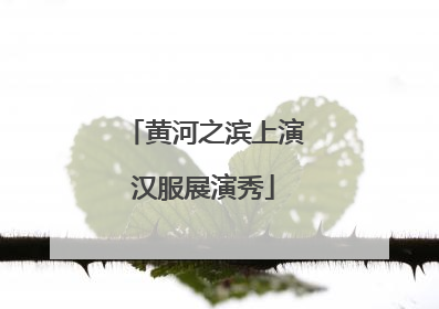 黄河之滨上演汉服展演秀