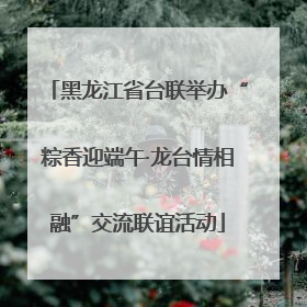黑龙江省台联举办“粽香迎端午·龙台情相融”交流联谊活动