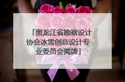 黑龙江省勘察设计协会冰雪创意设计专业委员会揭牌