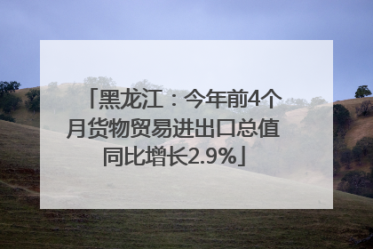 黑龙江：今年前4个月货物贸易进出口总值同比增长2.9%