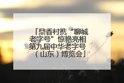 鼎香村携“聊城老字号”惊艳亮相第九届中华老字号（山东）博览会