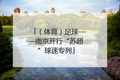 （体育）足球——南京开行“苏超”球迷专列