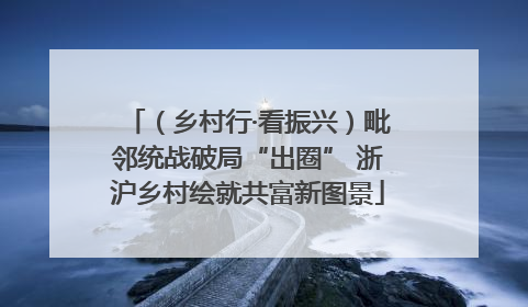 （乡村行·看振兴）毗邻统战破局“出圈” 浙沪乡村绘就共富新图景