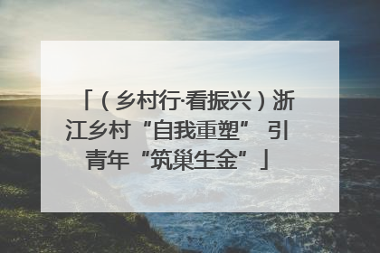 （乡村行·看振兴）浙江乡村“自我重塑” 引青年“筑巢生金”