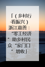 （乡村行·看振兴）浙江嘉善：“零工经济”助乡村民众“家门口”增收