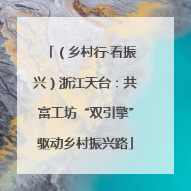 （乡村行·看振兴）浙江天台：共富工坊“双引擎”驱动乡村振兴路