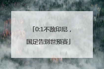 0:1不敌印尼，国足告别世预赛