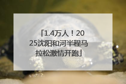 1.4万人！2025沈阳和河半程马拉松激情开跑