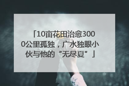 10亩花田治愈3000公里孤独，广水独眼小伙与他的“无尽夏”