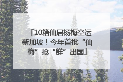 10箱仙居杨梅空运新加坡！今年首批“仙梅”抢“鲜”出国