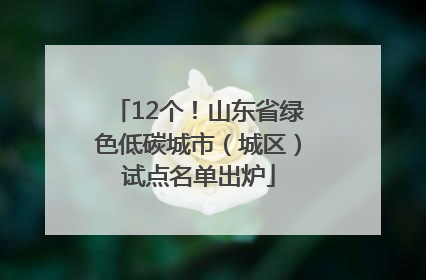 12个！山东省绿色低碳城市（城区）试点名单出炉