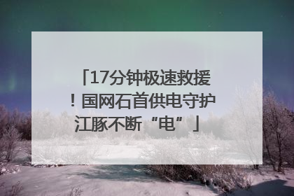 17分钟极速救援！国网石首供电守护江豚不断“电”