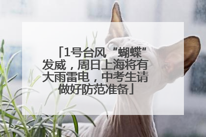 1号台风“蝴蝶”发威，周日上海将有大雨雷电，中考生请做好防范准备