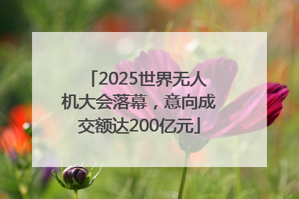 2025世界无人机大会落幕，意向成交额达200亿元