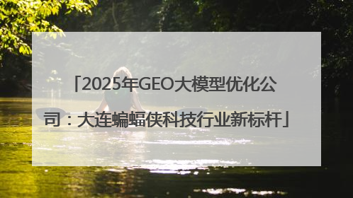 2025年GEO大模型优化公司：大连蝙蝠侠科技行业新标杆