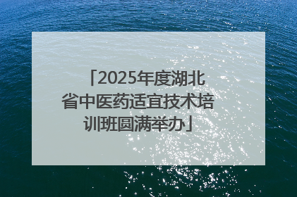 2025年度湖北省中医药适宜技术培训班圆满举办