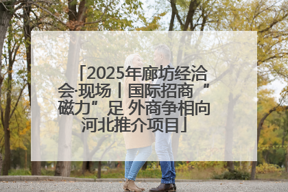2025年廊坊经洽会·现场丨国际招商“磁力”足 外商争相向河北推介项目