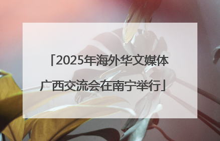 2025年海外华文媒体广西交流会在南宁举行