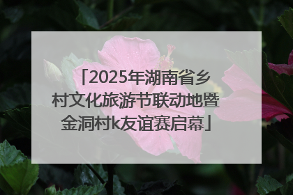 2025年湖南省乡村文化旅游节联动地暨金洞村k友谊赛启幕