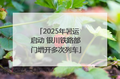 2025年暑运启动 银川铁路部门增开多次列车