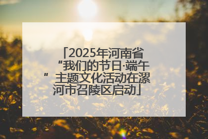2025年河南省“我们的节日·端午”主题文化活动在漯河市召陵区启动
