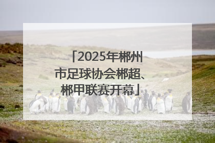 2025年郴州市足球协会郴超、郴甲联赛开幕