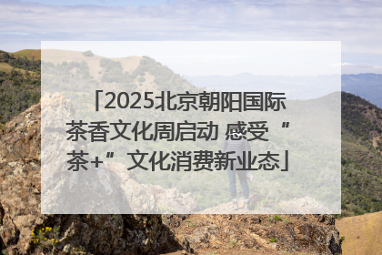 2025北京朝阳国际茶香文化周启动 感受“茶+”文化消费新业态
