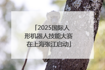 2025国际人形机器人技能大赛在上海张江启动