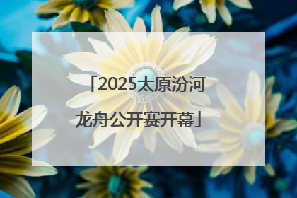 2025太原汾河龙舟公开赛开幕
