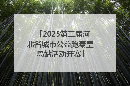 2025第二届河北省城市公益跑秦皇岛站活动开赛
