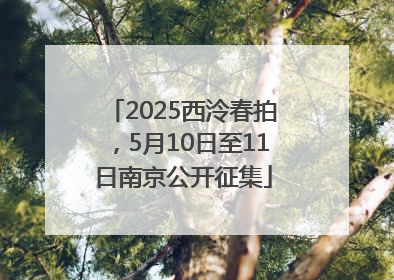 2025西泠春拍，5月10日至11日南京公开征集